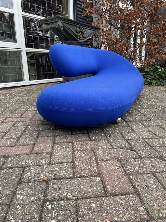 Image 1 of Artifort Cleopatra Loungebank, 70 Jahre