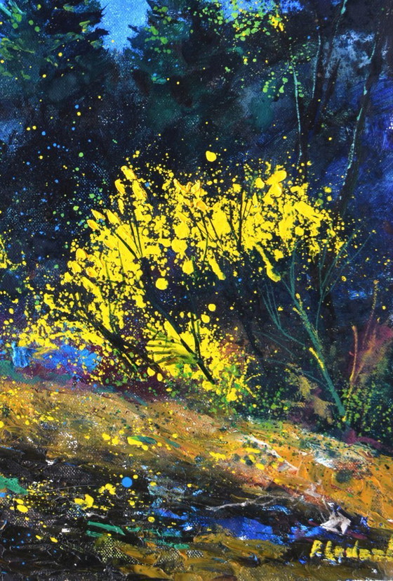 Image 1 of Yellow brooms