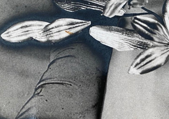 Image 1 of Avant Garde Photography Year 1934, Photography Xperiment Avant-Garde,  Composition.  Signed Original Photograph.