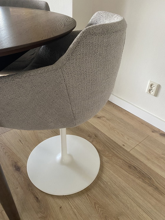 Image 1 of Sedie Flow imbottite in MDF Italia