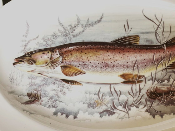Image 1 of 1 grande piatto ovale per pesce in porcellana di Limoges