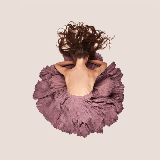 Image 1 of Alexander Ivashkevich - Flower