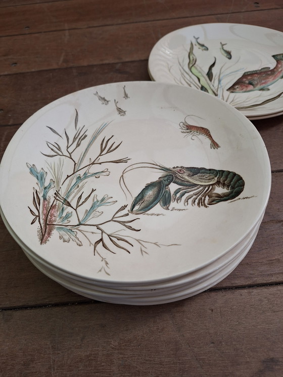 Image 1 of Juego de vajilla Johnson Bros FISH de 15 piezas