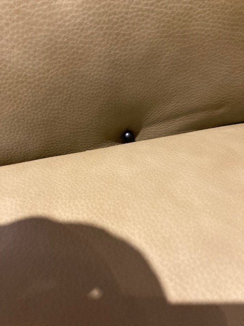 Image 1 of Le fauteuil relax Future Senza