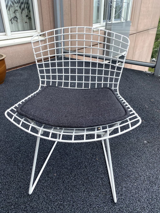 Set 4x designer stoel Knoll Bertoia / Vintage