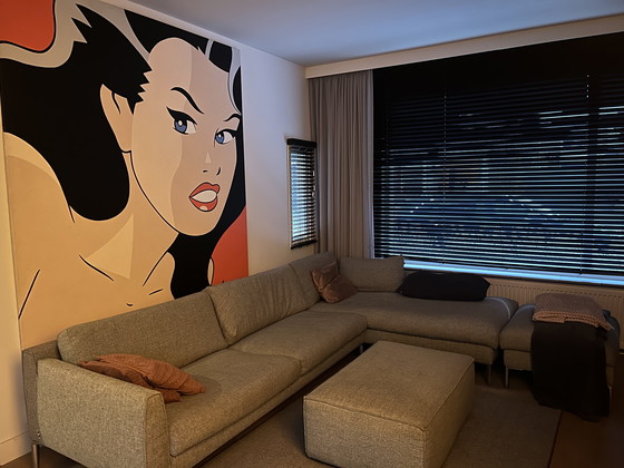 Image 1 of Luc Verschuuren Inexpecté 240cm hoog