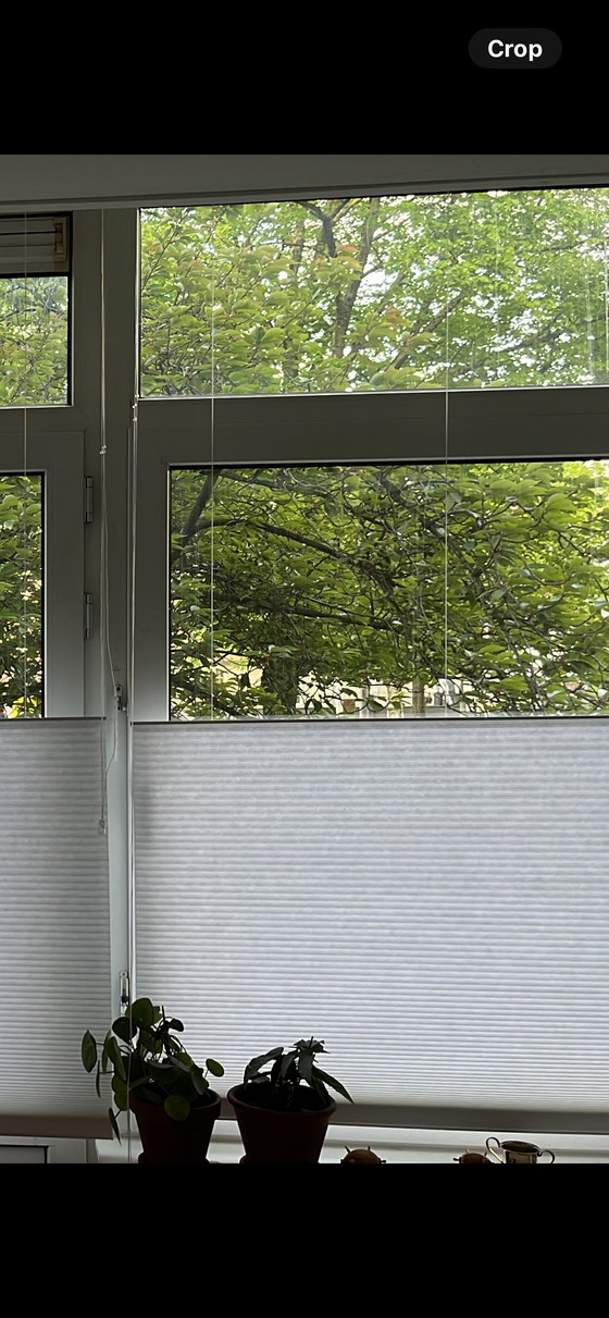 Image 1 of Plisse blindes NEW