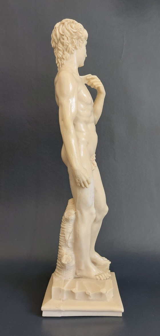 Image 1 of Escultura decorativa inspirada en David (Miguel Ángel) – Estatua de resina (38 cm)