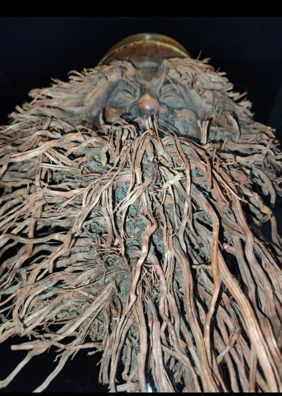 Image 1 of Chinees masker