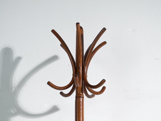 Bentwood Coat Stand in Beechwood – Austria-Hungary, Thonet Style, Circa 1900 – Coat racks, Metal (photo 16 of 36)