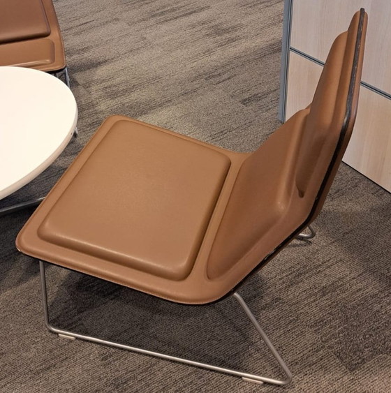 Image 1 of 3x Poltrone basse Cappellini