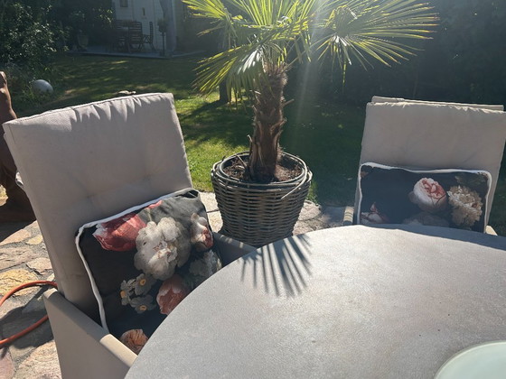 Caribbean Dinerset met ronde tafel, zweefparasol en 6 stoelen. – Tuinsets, Metal (photo 9 of 13)