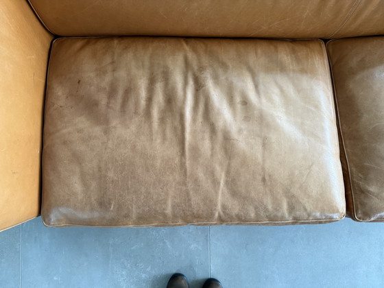 Image 1 of MolinarI Sofa Tizio Lederpolsterung Carezza Cognac