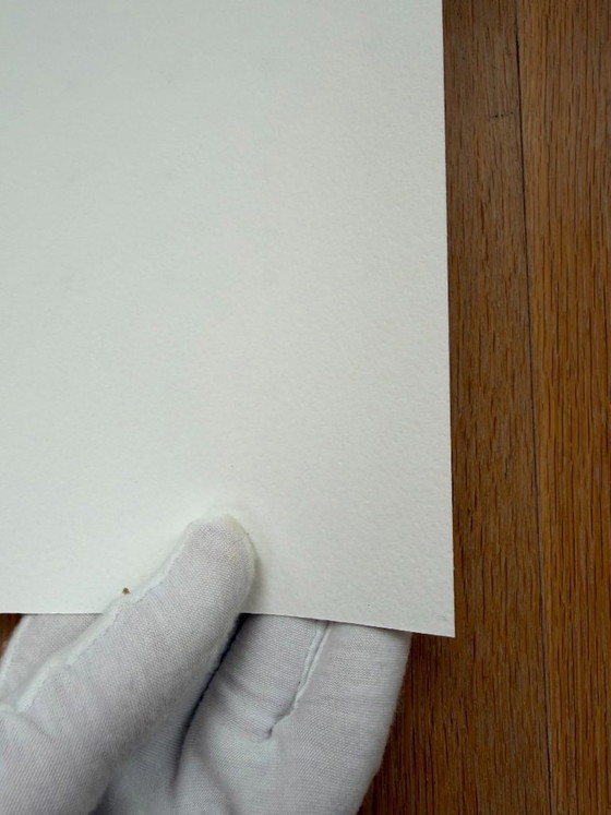 Image 1 of Anne Montiel, Formularios, 2013, Impreso en Bélgica
