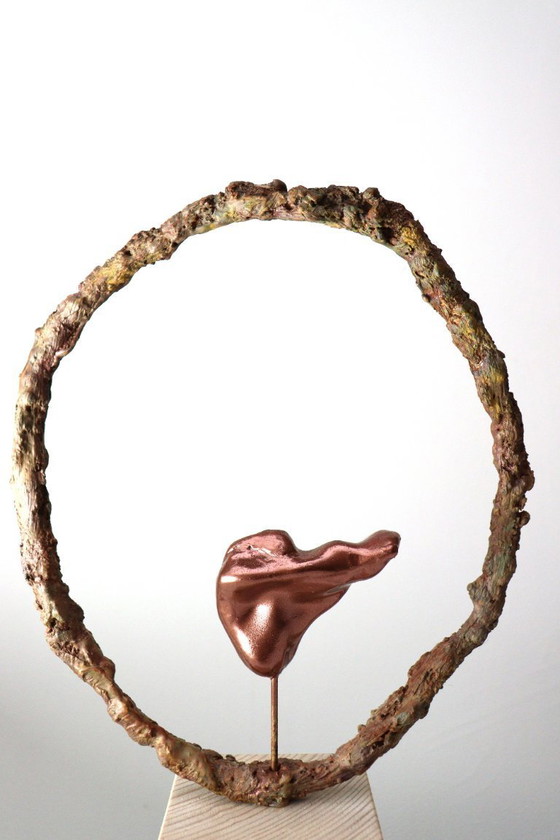 Image 1 of Balance Circle of Nature