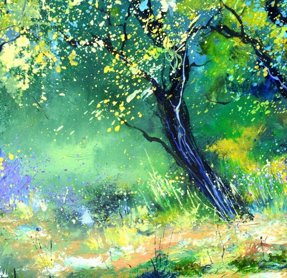 Image 1 of Leprechauns' meeting place