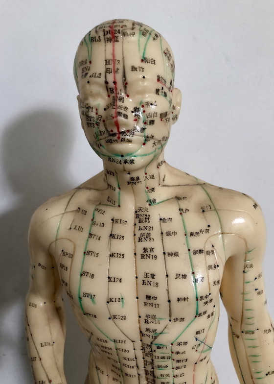Image 1 of Beautiful Vintage Doll With Acupuncture Meridians
