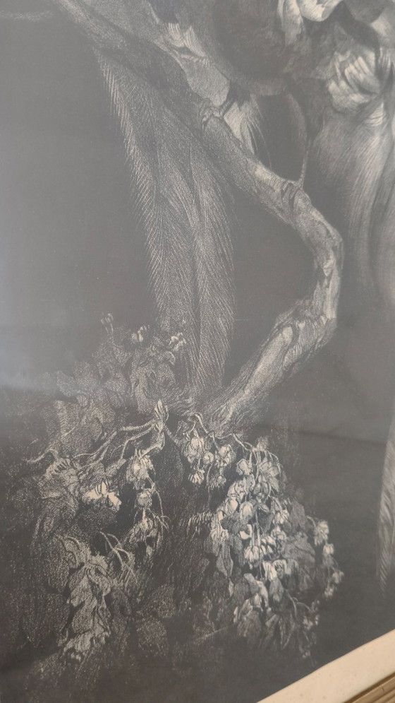 Image 1 of Adriaan Johannes van 't Hoff - Oiseau de paradis sur une branche - Lithographie