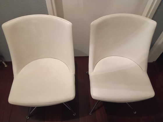 Image 1 of Bert Plantagie Rho Spin sedia in pelle bianca crema