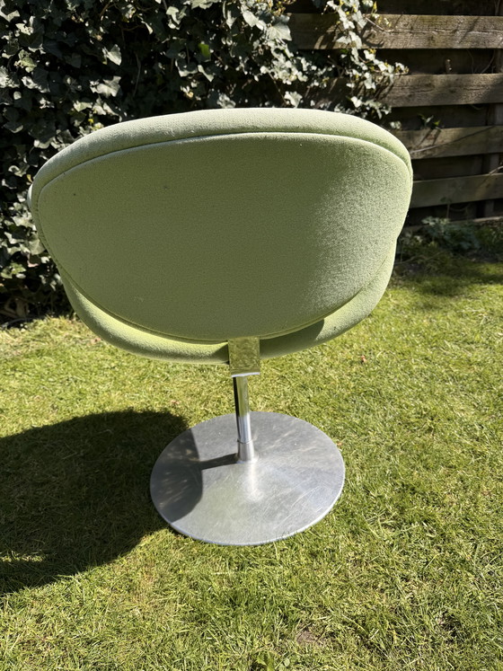 Image 1 of Little tulip (green)