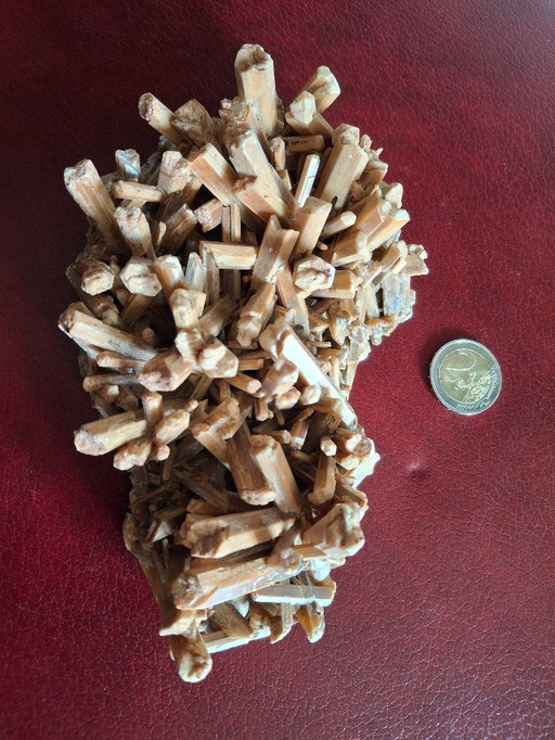 Large gypsum length 17.5 cm very good condition