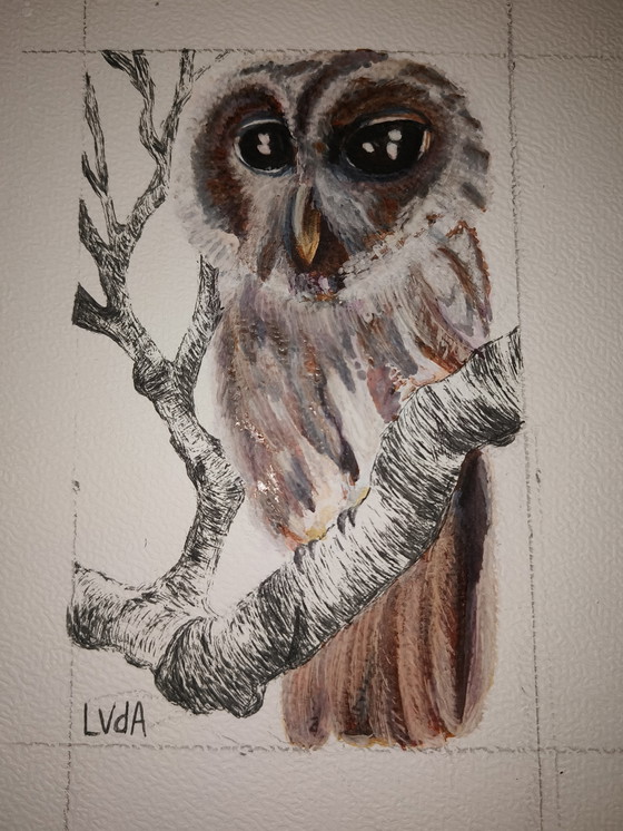 Image 1 of Upcycled frame with painting of owl and drawn branches that continue across the frame