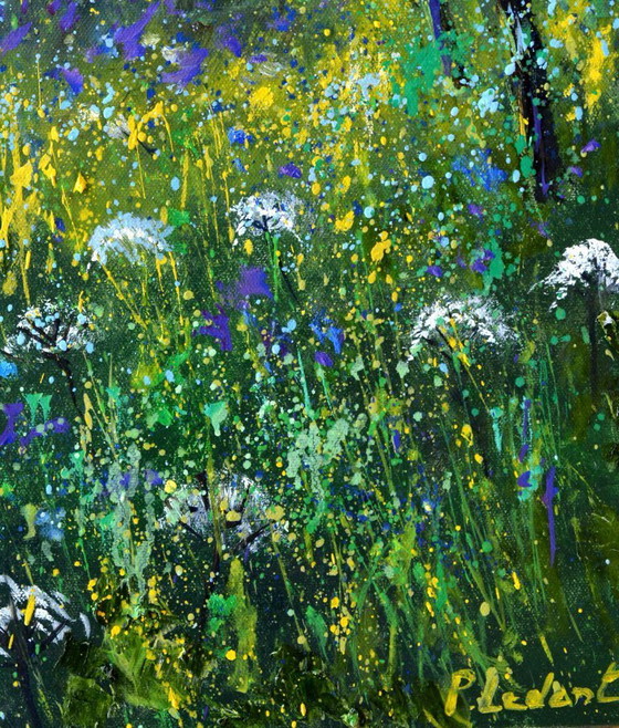 Image 1 of White and blue wild flowers