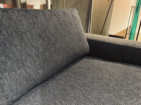 Image 1 of Fox 2,5 posti e -55%