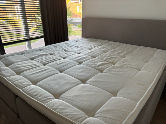 Swiss Sense Boxspringbett – Doppelbetten, Stoff, Holz (photo 13 of 15)
