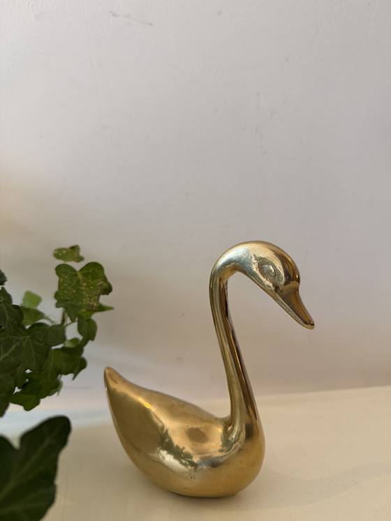 Image 1 of Cigno di ottone