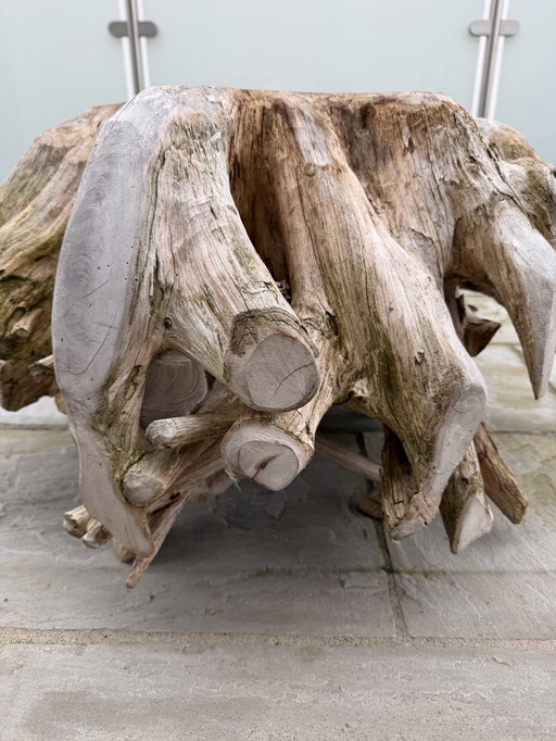 Design teak root unique coffee table