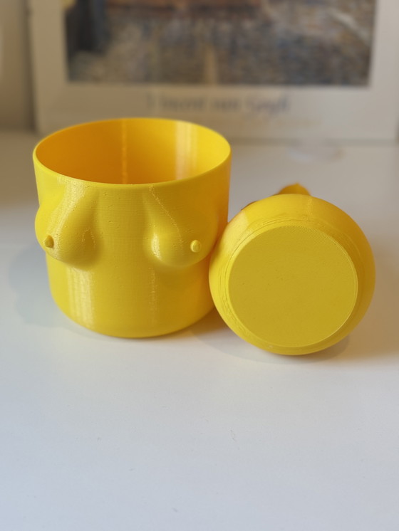 Image 1 of Set gele boobie vaas & bloempot – 3D geprint design 