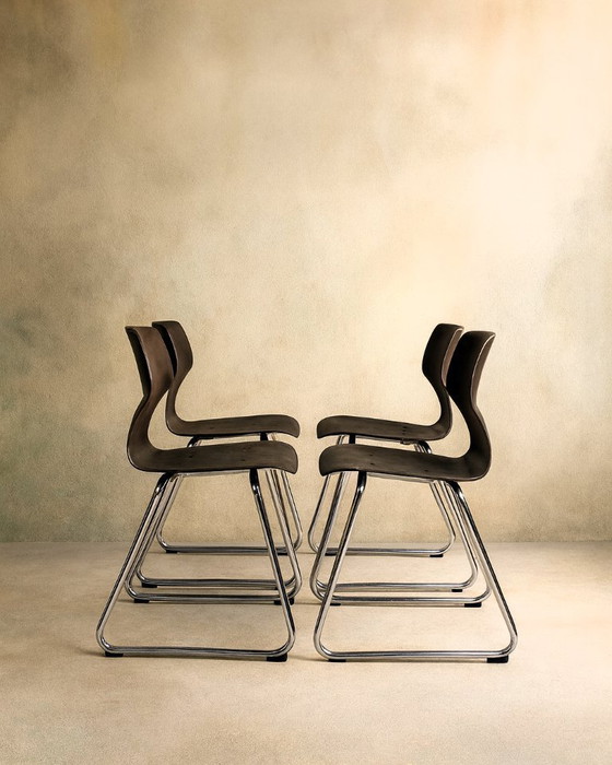 Image 1 of 4 sedie Flötotto Pagholz