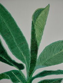 "REACHING FOR LIGHT" Gallery Suncorner