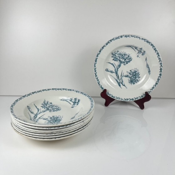 Image 1 of Set of 8 soup plates, "Oeillet" pattern, KG Lunéville, ironstone, 19th century