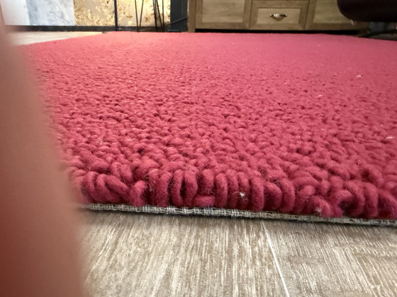 Image 1 of Bucles de Brink y Campman