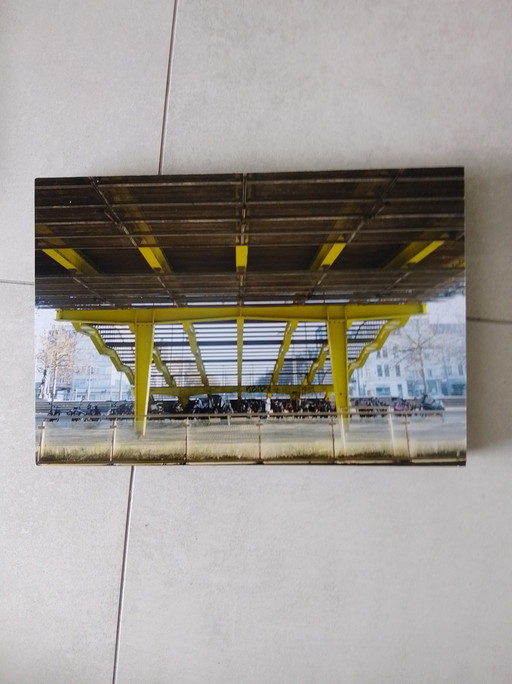 Photos of the Butterfly Palace Antwerp