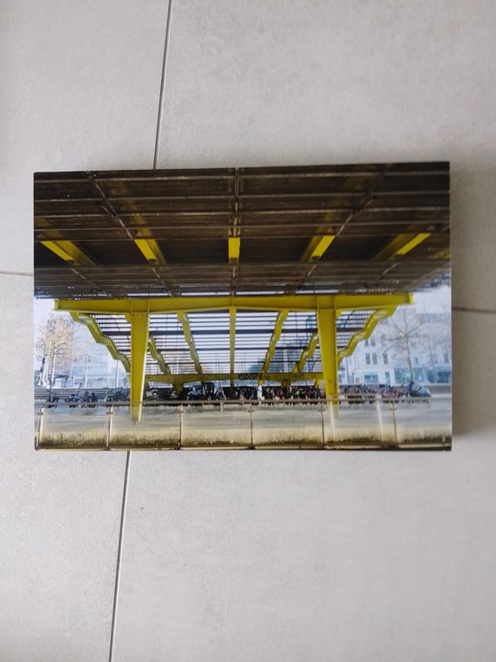 Image 1 of Photos of the Butterfly Palace Antwerp