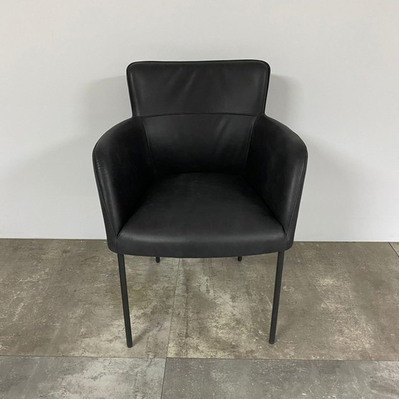 Ensemble de 4 lilas – Bert Plantagie, Chaises de salle à manger (photo 5 of 6)