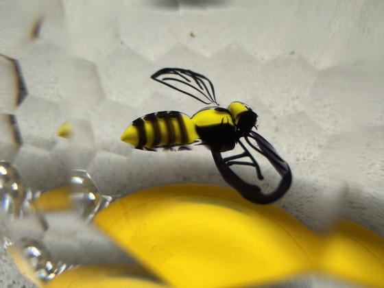 Image 1 of Saint-Louis - Exclusive Crystal Paperweight "Nid d'Abeilles" - Limited Edition (28/150) - 1996