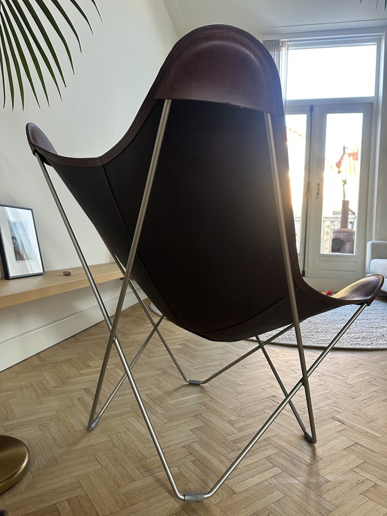 Image 1 of Cuero Leder-Schmetterlingsstuhl – Chrom – Eiche