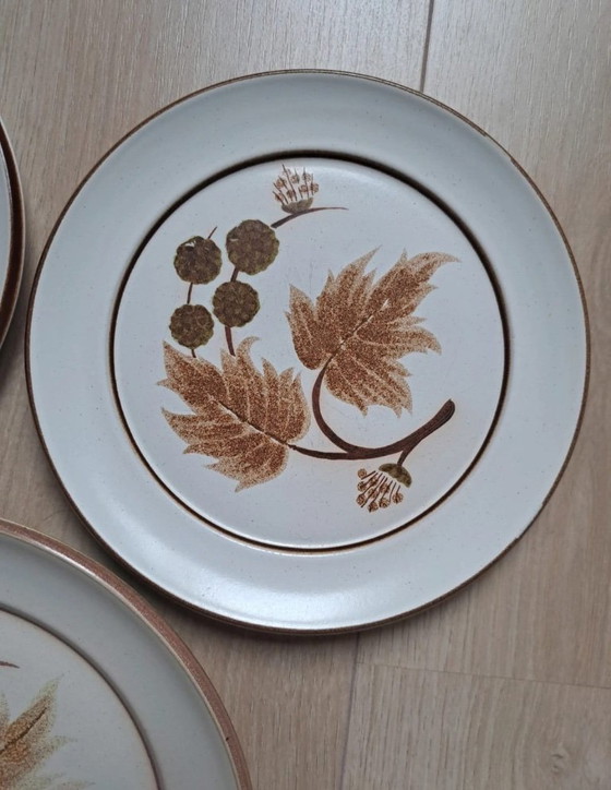 Image 1 of Piatto in gres vintage Denby Cotswold realizzato in Inghilterra