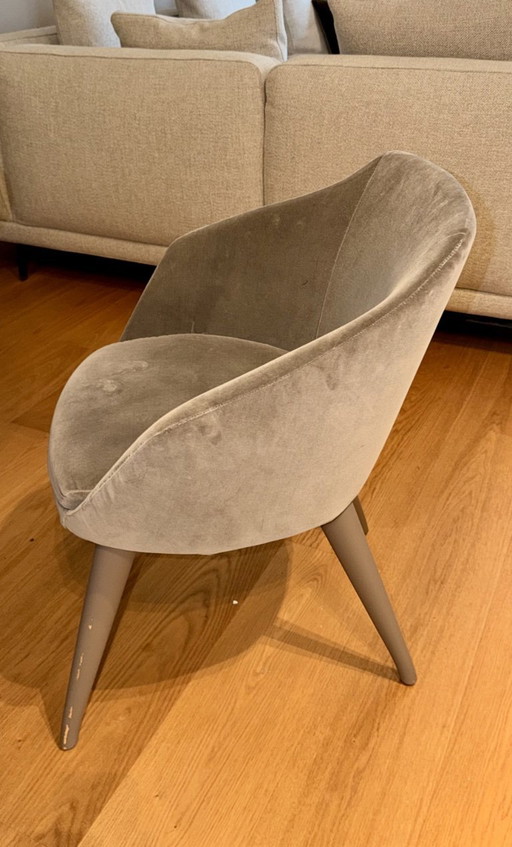 Papadatos Aleria Samt Esszimmerstühle Juego de 4