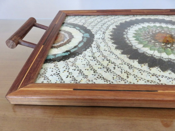 Image 1 of Schmetterlingsflügel-Tablett, Brasilien, 40er Jahre