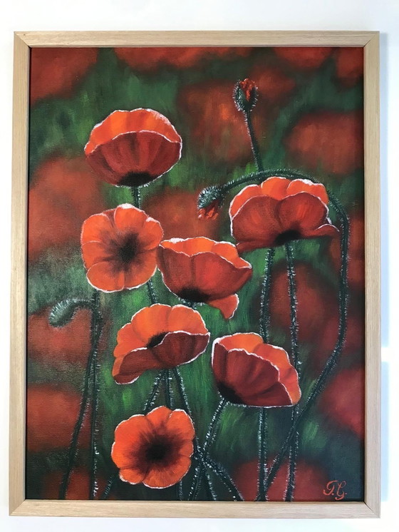 Image 1 of Pintura al óleo - Irina Gauss - Amapolas en verano