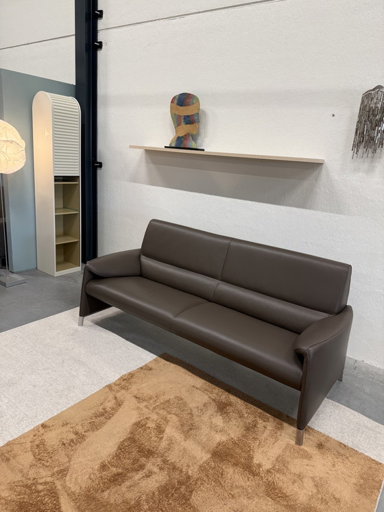 Leolux Felizia Canapé 3 places Senso Noyer – Canapés 3 places, Leather (photo 6 of 8)