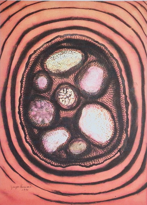 D'après Yayoi Kusama, Sans titre, Lithographie, années 1990