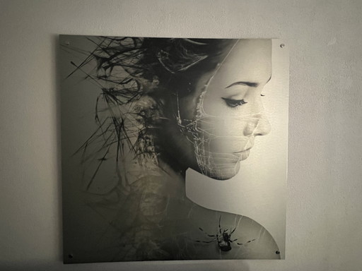 Dipinto su alluminio spazzolato raffigurante una donna con una ragnatela. – wanddecoratie, Aluminium