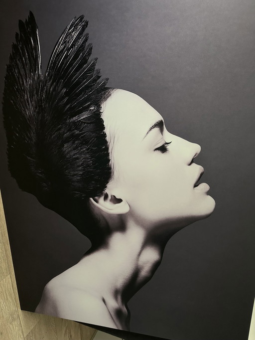 Boconcept black swan metal print - Frida Uma