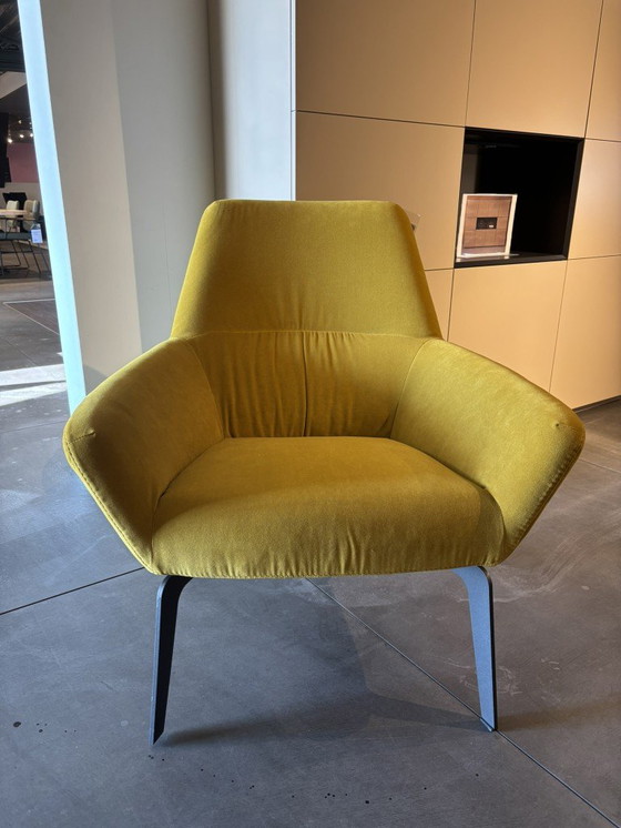 Image 1 of bert plantagie Zyba fauteuil